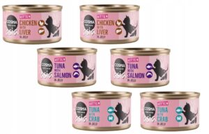 Cosma Asia Kitten w galarecie 6 x 85g mix smaków