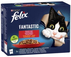 FELIX FANTASTIC Karma dla kota MIX SMAKÓW 12x85g