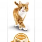 GimCat Pasta Multi-Vitamin Multiwitamina dla kota 100g przysmak
