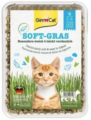 Gimcat soft-gras trawa dla kotów 100g