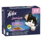 Zestaw Felix Junior 4 smaki 12 x 85 g Nowa Receptura